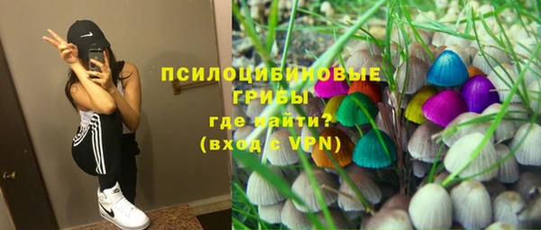 не бодяженный Абаза