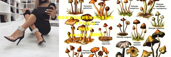 apvp Абинск